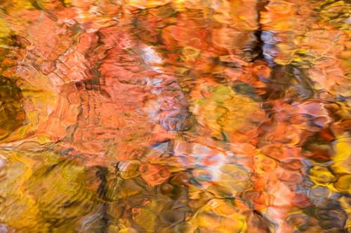 Abstract;Abstractions;Autumn;Brook;Creek;Fall;Great Smoky Mountains National Park;Patterns;Reflection;Reflections;River;River Bed;Riverbed;Rivers;Seasons;Shapes;Stock categories;Stream;Tennessee;Textures;United States;Water;waterway